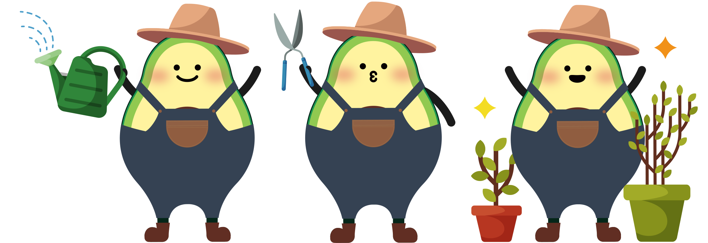 abocado